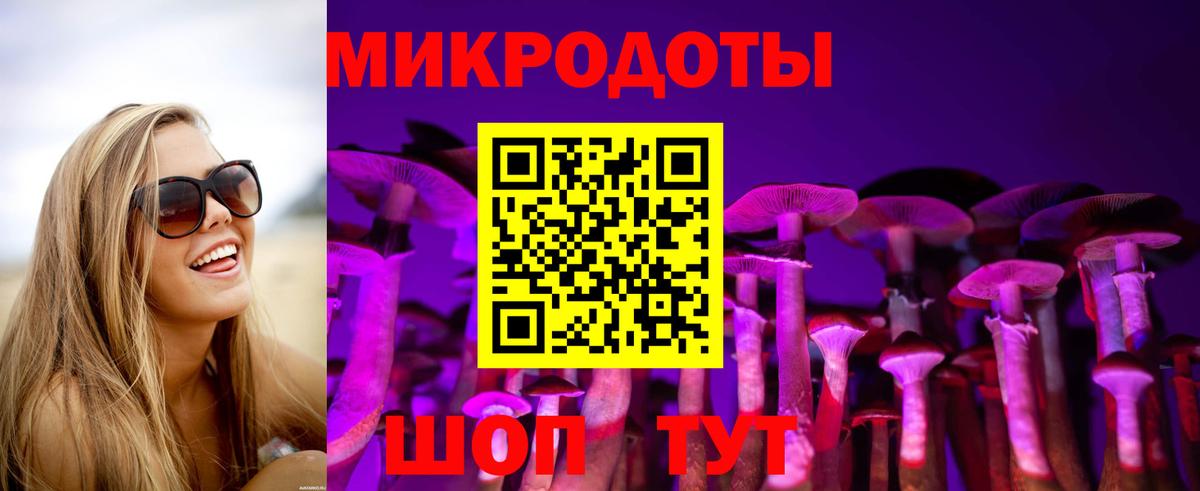 Псилоцибиновые грибы Magic Shrooms  Вход с VPN  Ейск 